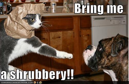 photo of a cat saying to a dog bring me a shrubbery