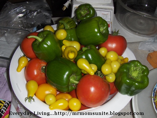 photo of vegetables