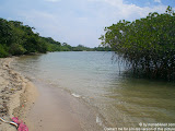 nomad4ever_java_baluran_CIMG5114.jpg