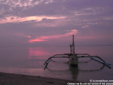 nomad4ever_java_baluran_CIMG5218.jpg