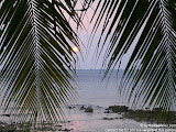 nomad4ever_malaysia_pulau_tioman_CIMG1273.jpg