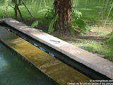nomad4ever_singapore_IMG_2370.jpg