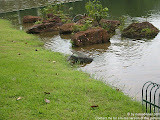 nomad4ever_singapore_IMG_2580.jpg