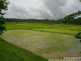 nomad4ever_laos_vang_vien_CIMG0608.jpg