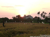 nomad4ever_indonesia_bali_landscape_CIMG1729.jpg