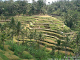 nomad4ever_indonesia_bali_landscape_CIMG1853.jpg