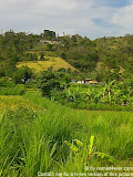 nomad4ever_indonesia_bali_landscape_CIMG1989.jpg