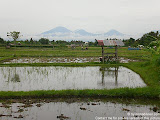 nomad4ever_indonesia_bali_landscape_CIMG2101.jpg