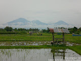 nomad4ever_indonesia_bali_landscape_CIMG2104.jpg