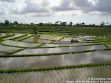 nomad4ever_indonesia_bali_landscape_CIMG2373.jpg