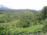 nomad4ever_indonesia_bali_landscape_IMG_2014.jpg