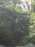 nomad4ever_indonesia_bali_landscape_CIMG2363.jpg