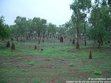 nomad4ever_australia_darwin_CIMG1773.jpg
