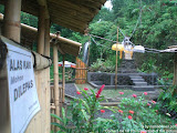 nomad4ever_bali_waterfall_hotsprings_CIMG4819.jpg
