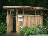 nomad4ever_bali_waterfall_hotsprings_CIMG4839.jpg