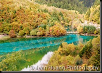 Peacock Riverbed, Jiuzhaigou, Sichuan, China Peacock Riverbed, Jiuzhaigou, Sichuan, China
