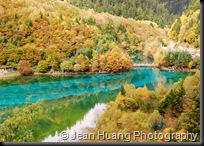 Peacock Riverbed, Jiuzhaigou, Sichuan, China