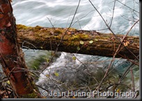 Jiuzhaigou, Sichuan, China (2)