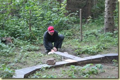 IMG_2730 IMG_2730