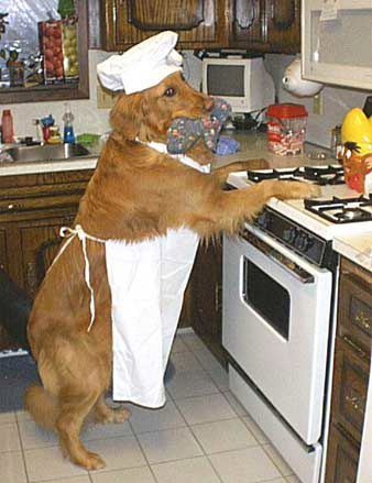 [dog_helping_in_kitchen[12].jpg]