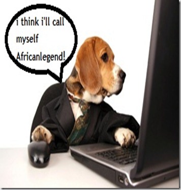 dog on the computer