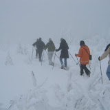 Snowshoe and Snowboard Tour