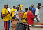 Republica Dominicana || Punta-Cana - Higuey - Isla Saona Slideshow