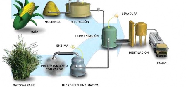 [la-biomasa-biocombustible-[6].jpg]