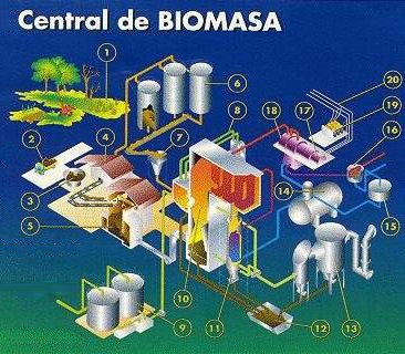 [biomasa-transformación-energetica[6].jpg]