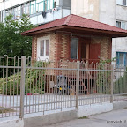 P8264755.jpg