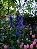DSCF0195.JPG