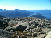 Melderskin Photo Melderskin Photo