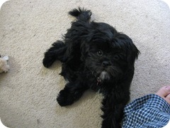 IMG_2810 IMG_2810