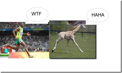 Bolt Giraffe Bolt Giraffe