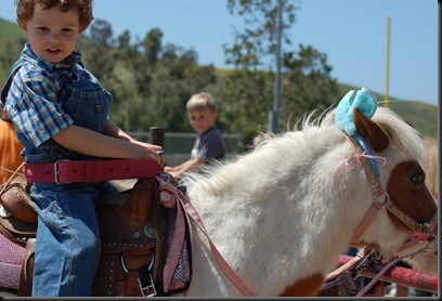 poney rise small