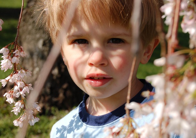 [20090416-DSC_0048-48[4].jpg]