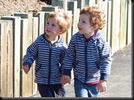 double trouble small