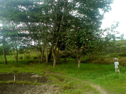 Sumur Ngoro Oro Ciut
