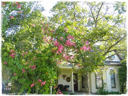 [DSCN4725TheNeighborhood3.jpg]