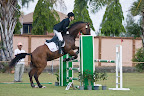  equestrian