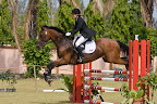  equestrian