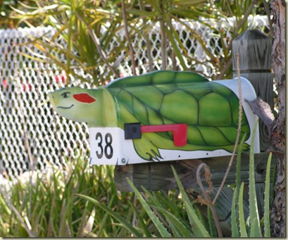 Sea Turtle mailbox
