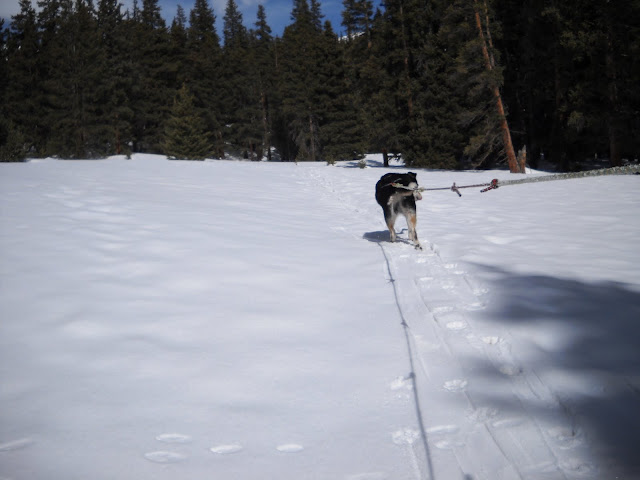 DSCN5532.JPG
