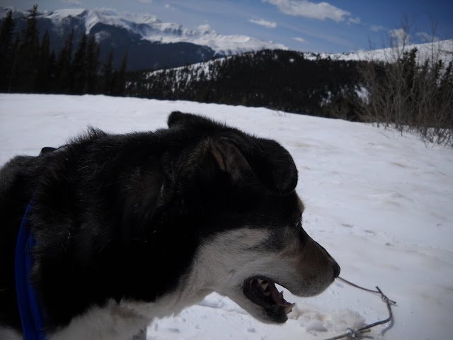DSCN5538.JPG