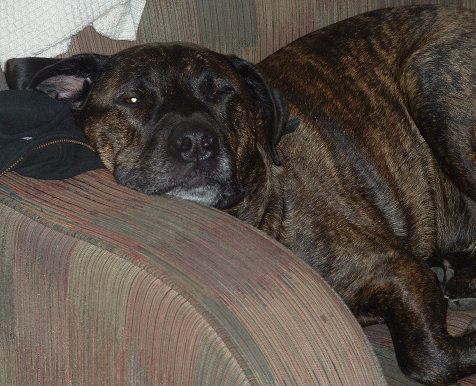 [damu a couple days after Thanksgiving 2005[3].jpg]
