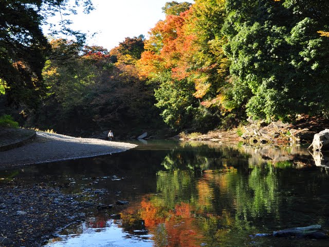 嵐山渓谷の紅葉 埼玉っぷ