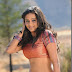 Priyamani as heroine for Suriya
