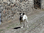 Tecozautla, Mexico Slideshow