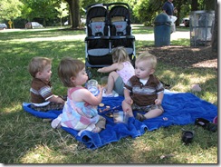 IMG_3452 IMG_3452