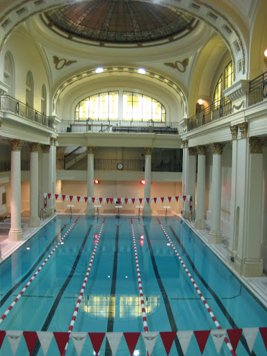 Olympic sized swimming pool